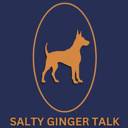salty-ginger-thumb